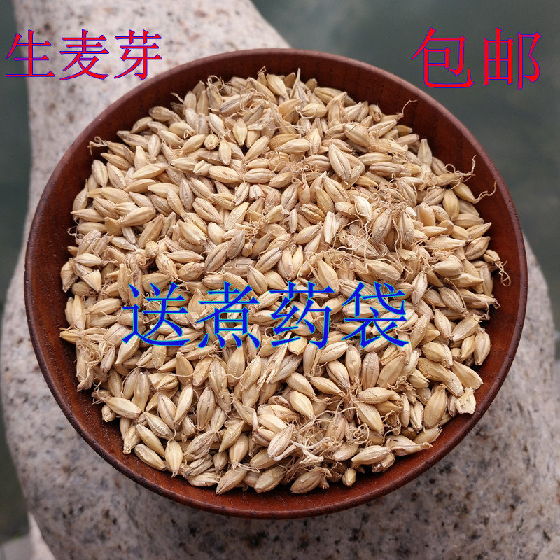 Malt raw malt Chinese herbal medicine large malt macdonia tea 500 gr with fried malt back to milk