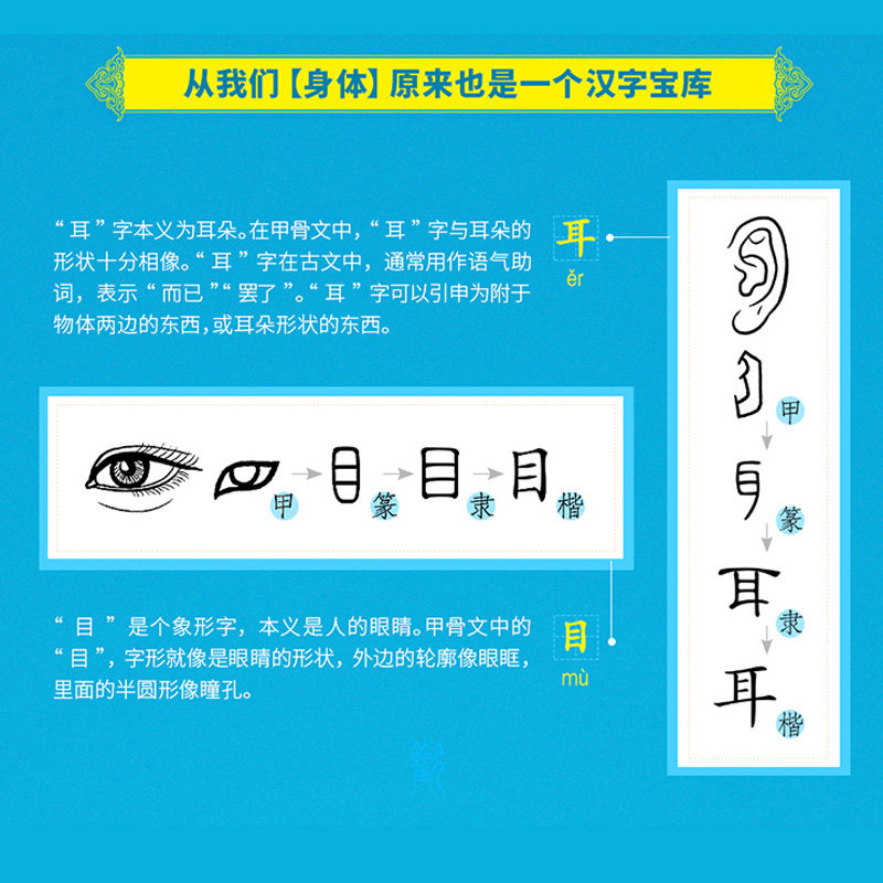 學校推薦 許慎 畫說漢字 800個漢字故事書小學版1 2年級學習讀物圖解說文解字中文漢字記憶技巧書語文寫作基礎書籍