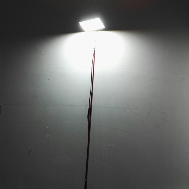 fishing pole light