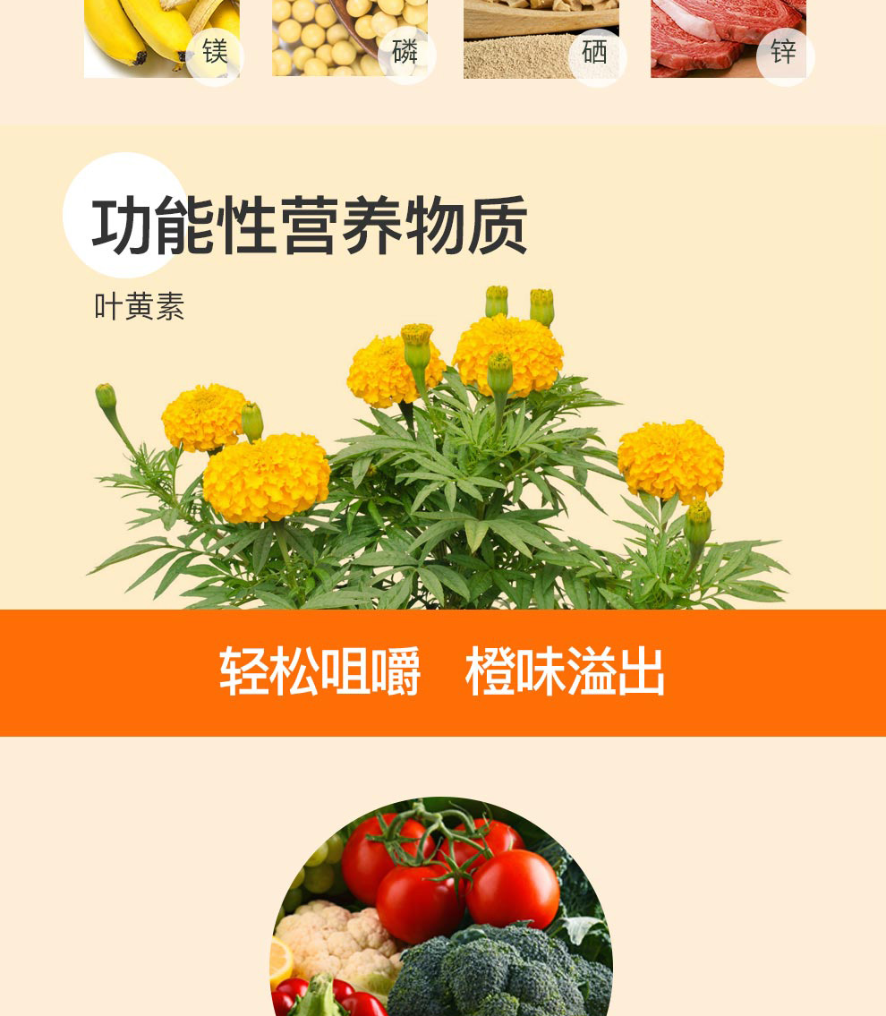 Jamieson 健美生多维矿物质咀嚼片