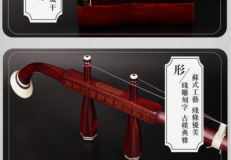 Erhu Nhạc cụ Tô Châu Chính hãng Python Skin Rosewood Huqin Sinh viên trưởng thành Người mới bắt đầu chơi chuyên nghiệp Erhu - Nhạc cụ dân tộc đàn tỳ bà