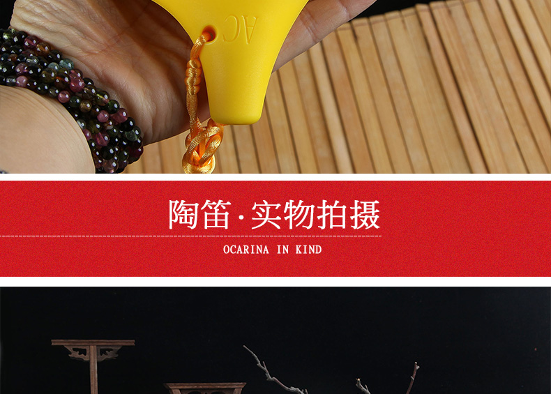 Ocarina 12 người mới bắt đầu gửi sách giáo khoa học sinh trẻ em nhập AC điều chỉnh nhạc cụ sáo nhựa chống vỡ - Nhạc cụ dân tộc đàn đáy