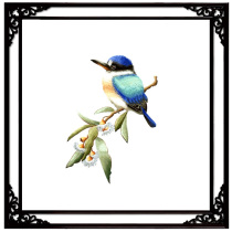 Su embroidery diy beginner kit embroidery various Bird Series 0 Foundation one-on-one guide