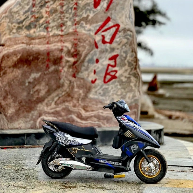 Brand New Sanyang Ghost One Electric Vehicle with Upgraded Long-Range Drive, 530 Full-Synthetic 3500Wp Lithium Battery Package, Electric Motorcycle Battery