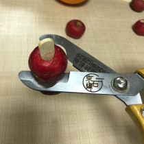 Net red string mini sugar gourd sandwiched Hawthorn open edge special scissors Scissors special material production tools