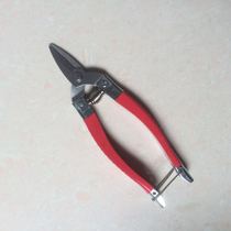 Stainless steel fruit picker Citrus cut round head cut fruit cut Citrus cut flat head straight head fruit picker