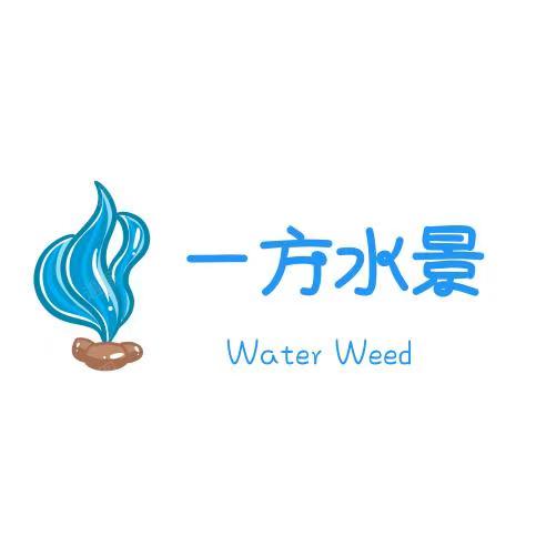 一方水景丨水草