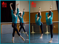 Classical dance practice clothes Body rhyme dance gauze suit dance clothes Adult dance practice clothes Elastic gauze top