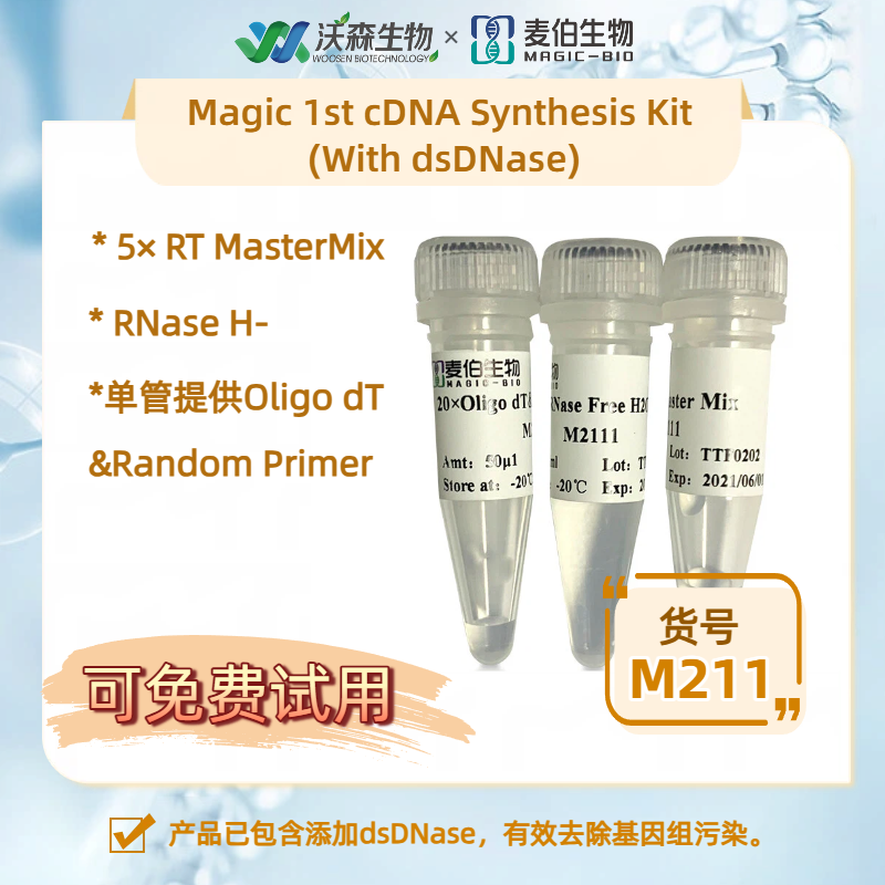 麦伯 Magic 1st cDNA Synthesis Kit (With dsDNase) 逆转录试剂