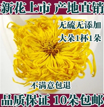 Golden Silk Royal Chamomile Chamomile Tea One Cup Big Daisy Chamomile Gold Silk Huang Ju Source Tea Flower Tea