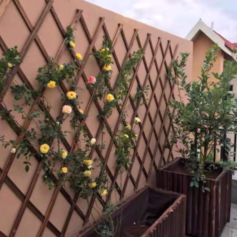 Embalming wood grid Climbing Vine Flower Shelf Wall Hanging Bracket Rod Plant Wall Wall-mounted Balcony Decorated Shelf Flower Basket