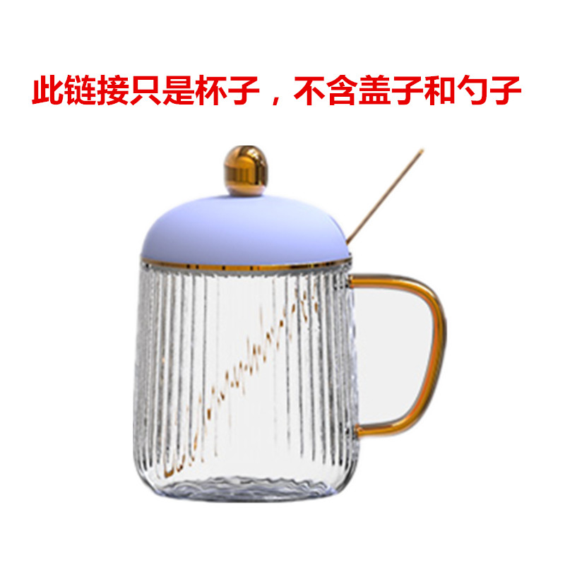 Life element mini - health cup accessories original plant single - pot I156 electric stew cup cooker dedicated glass boiler