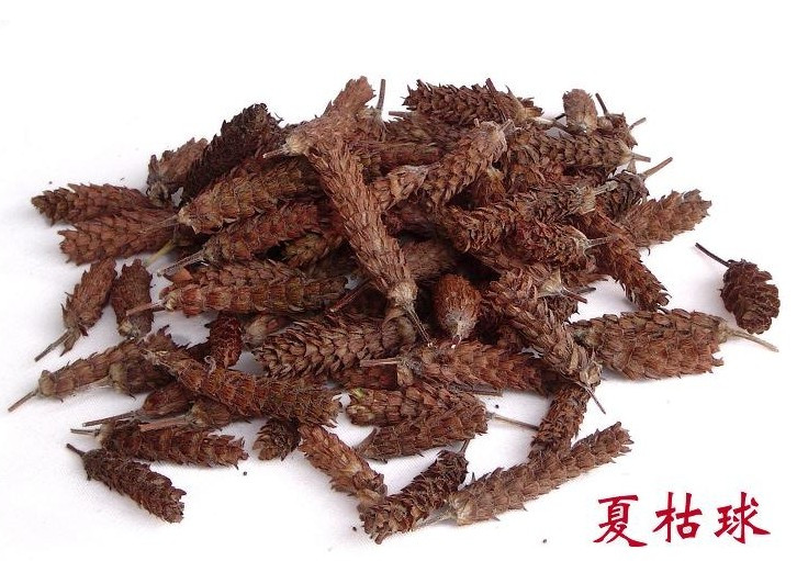 Chinese medicine materials summer - dead grass and summer - sauce, summer - sized meat - bowl - is no more than 500g