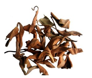 Chinese herbal medicine Shiwei small leaf stone vee stone reed Venus grass stone ranstone sword stone back Lyu 500g grams