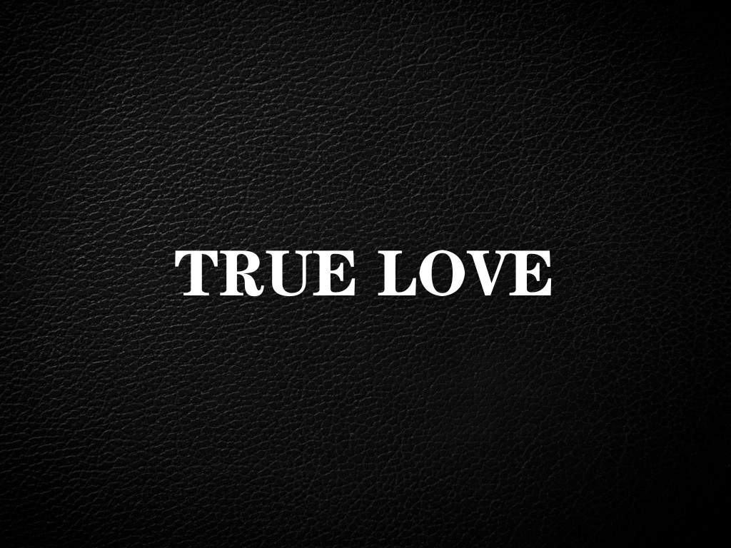 TRUE LOVE眼镜的LOGO