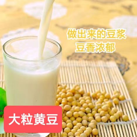 来自边疆的大粒黄豆：舌尖上的东北与西北风情