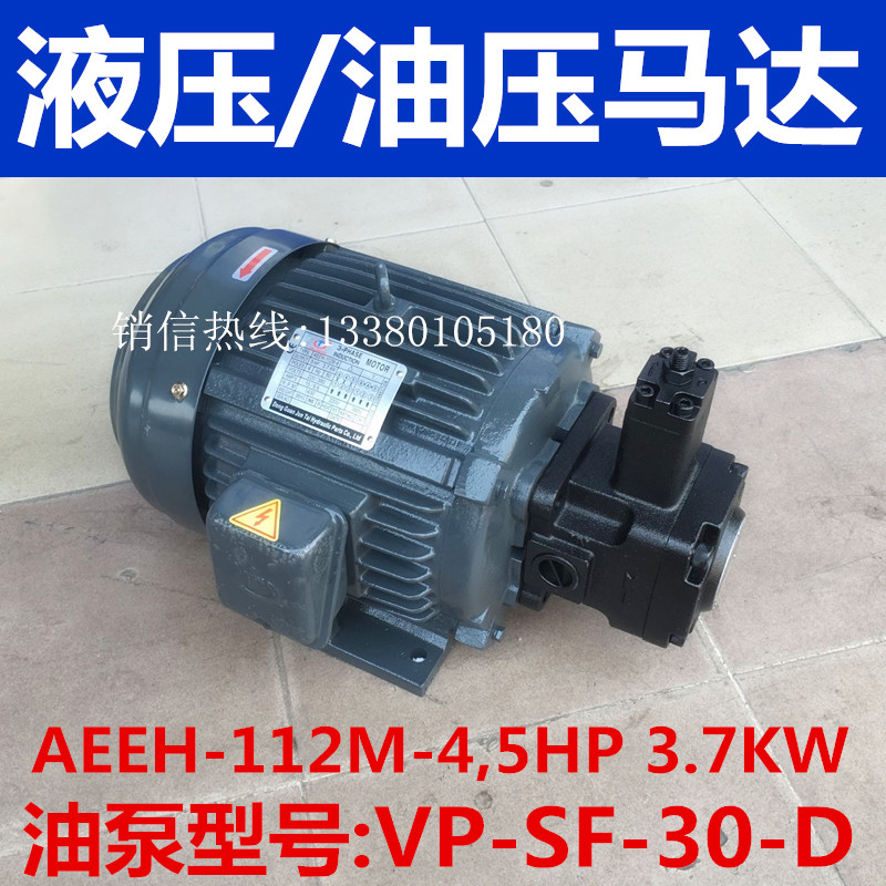 JUNLINGPAI AEEH-112M-4 5HP3 7KW oil pressure hydraulic motor VP-SF-30-D vane pump