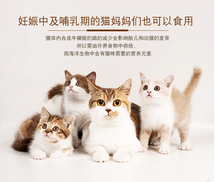 Ai Ruiyou thức ăn cho mèo 5 kg 2,5kg Vận chuyển mèo 1-4 tháng cho mèo vào biển sâu cá biển rong biển đôi chiến đấu với mèo tự nhiên mèo ăn hạt có tốt không