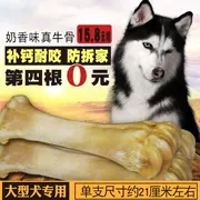 Chó ăn vặt que mol Golden Retriever chó vừa và lớn canxi đến hôi miệng sạch răng xương thịt bò dính xương