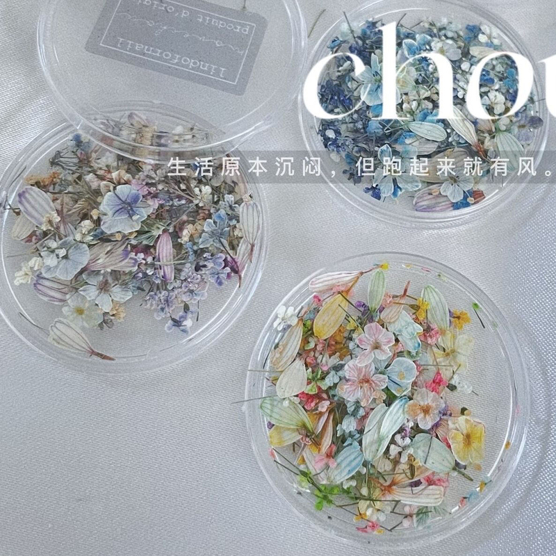 Oil Painting Style Nail Art Dried Flower Decorations Blc Small Flowers Spring and Summer Tulip Petals Japanese Pastoral Style DIY Wearable Nails