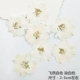 Feiyan White (окрашенный белый) 12 цветов