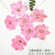 Feiyan светло -розовый (краситель) 12 цветов