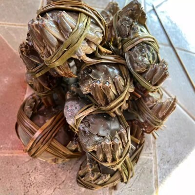 全鹏水产龙虾大闸蟹
