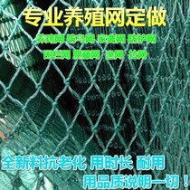 Climbing vine mud dragon net nylon net chicken farm purse net decorative net thick protective net wild net agricultural fence