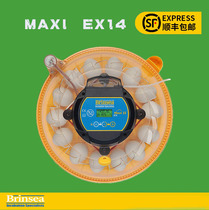 British small flying saucer incubators brinsea parrot hatchery fully automatic incubators bird hatching corduck