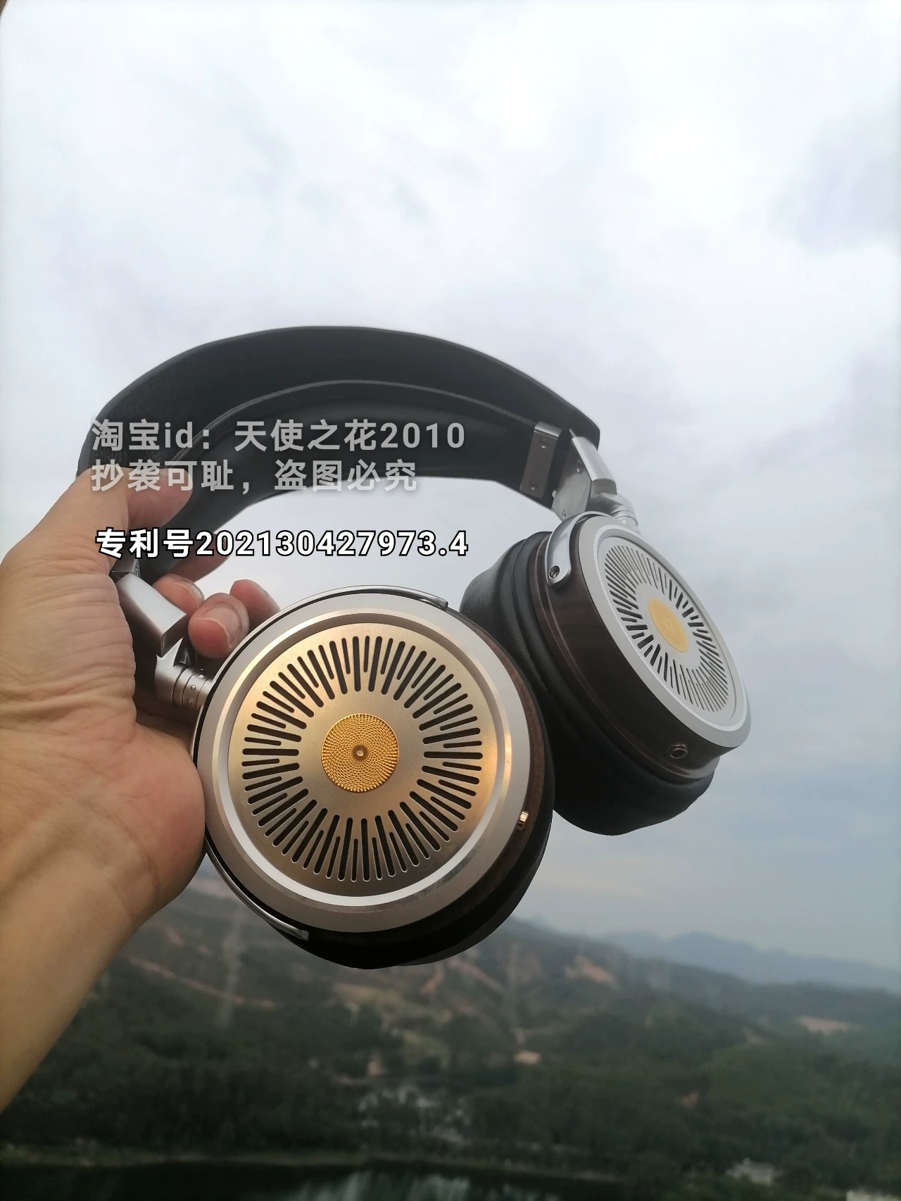 Коллекционная HD800S температура 10 000 юаней на заказ наушники наушники наушники HIFI разъем ДРУГОЕ/прочее смотрите детали