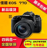 Máy ảnh DSLR nhập cảnh kỹ thuật số Canon / Canon EOS 77D 77D / 18-135NANO SUM - SLR kỹ thuật số chuyên nghiệp mua máy ảnh canon