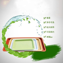 Rectangular flowerpot tray indoor bonsai water-receiving succulent plant bottom pad colorful resin flowerpot tray 9 9