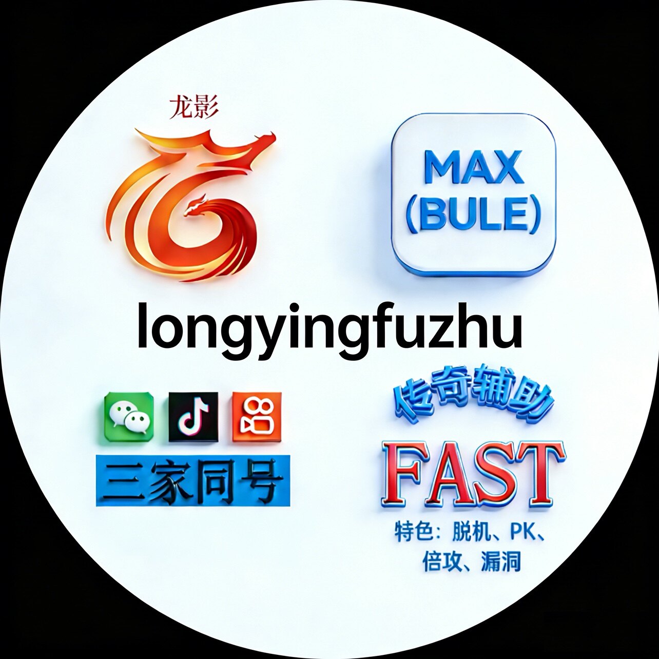 传奇辅助正版龙影的LOGO
