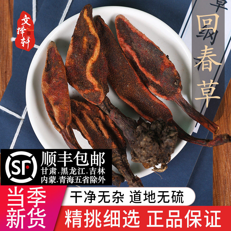 中药材特级云南野生回春草正宗回春草顶天柱滋补泡酒料新货50克