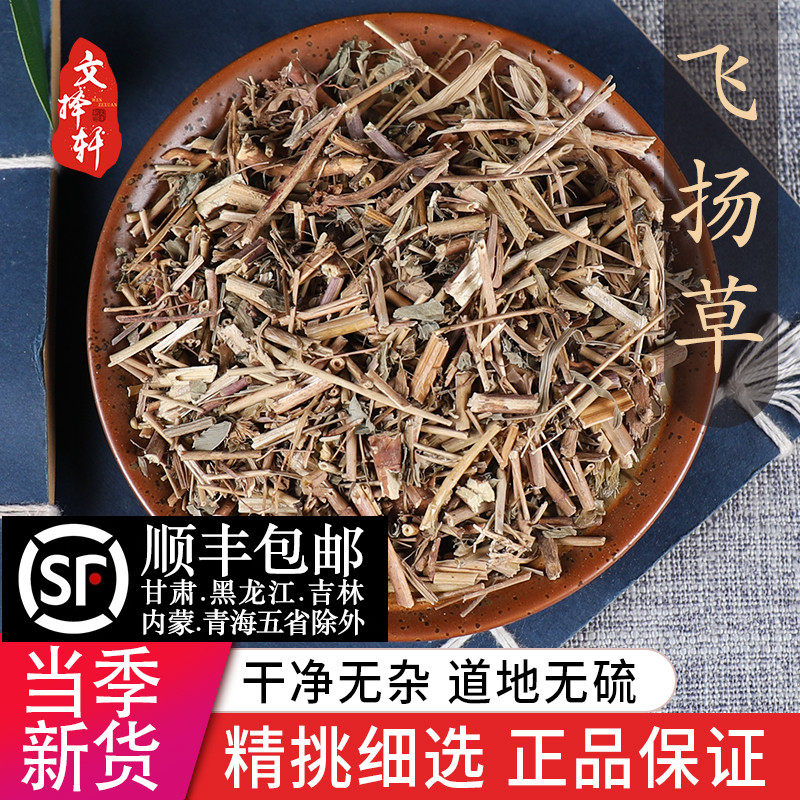 中药材特级野生大飞杨草正品新货飞扬草乳汁草节节花飞扬草50克