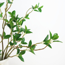 Elm Tree Leaf Emulation Leaf Flower Arrangement Leaf Flower Arrangement Leaf Single Branch Fake Branch Plastic Fake Flower Like Board Room Living-room Wedding Decoration Flower