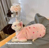 Крем - это безволосочный раковина, универсальная одежда для кошек, теплый бархатный жилет, бесплатная доставка