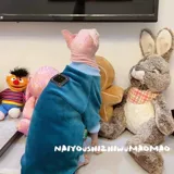 Крем -это безволосочное платье с четырьмя футболами, чтобы держать одежду для животных домашних животных без котенка бесплатной доставки