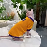 奶油是只无毛猫 Новая чистое хлопковое сфинкс Devin Internet знаменитость Pet Cat Universal Elastic Free Dropping Бесплатная доставка