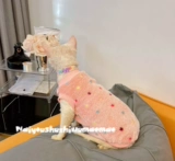 Крем - это безволосочный раковина, универсальная одежда для кошек, теплый бархатный жилет, бесплатная доставка