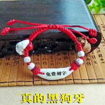 End of the Dragon Boat Festival pure silver Pearl baby newborn baby anti-shock adult pressure red dog tooth and foot chain hand chain bracelet