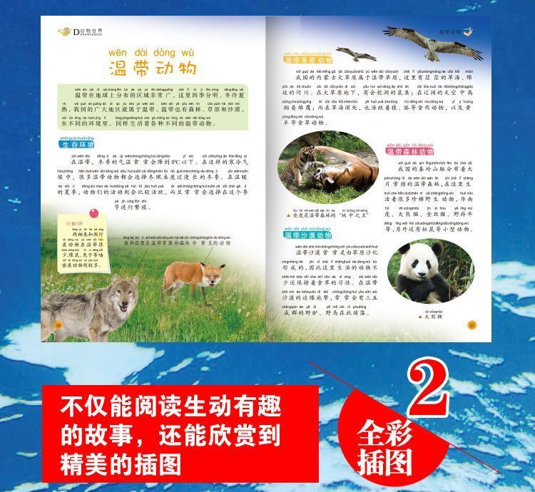 详情图