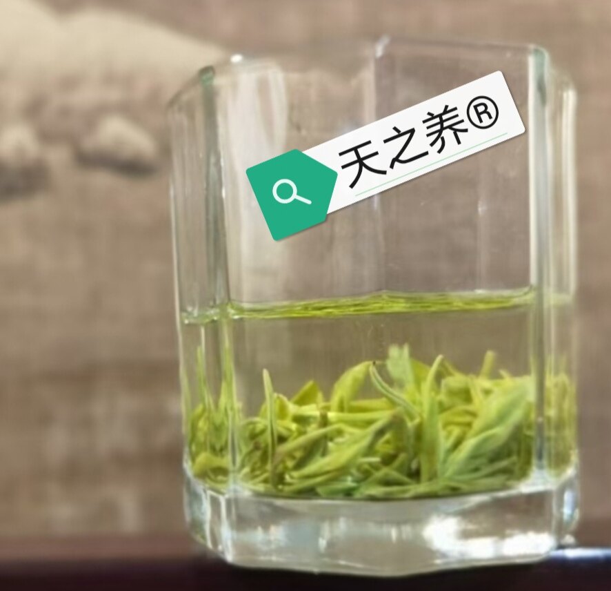 天之养茶业