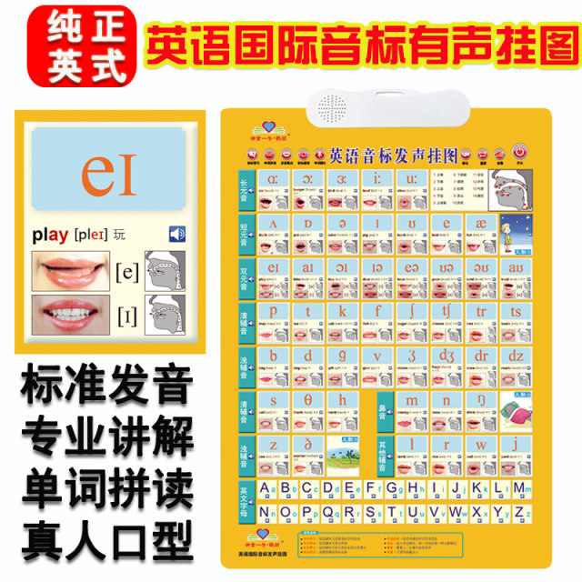 48 English International Phonetic Symbols pronunciation audio charts for the primary school students, phonetic symbols learning tools and natural phonetics wall charts