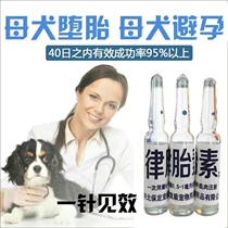 Mother dog abortion mother dog contraceptive uteri One-pin effect