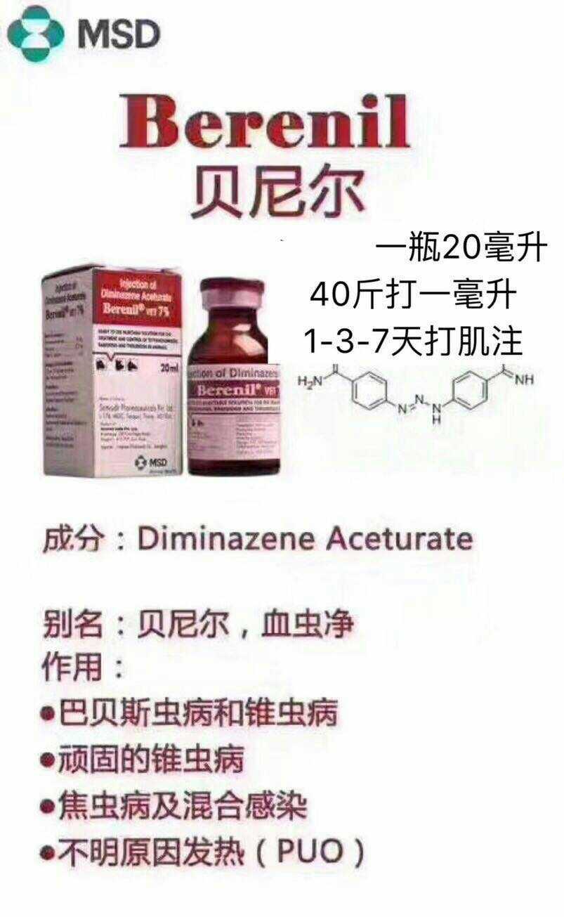 Beniljiao insect needle