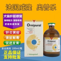 Pets Puppy kittens Liver Abdominal water Infectious Peritonitis for Appetite Fatty Liver Opule