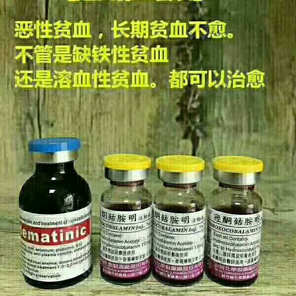 Blood Collection Kit