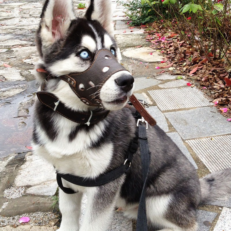 Leather dog muzzle breathable mouth mask anti-bite anti-calling Teddy golden retriever large dog small dog adjustable mask