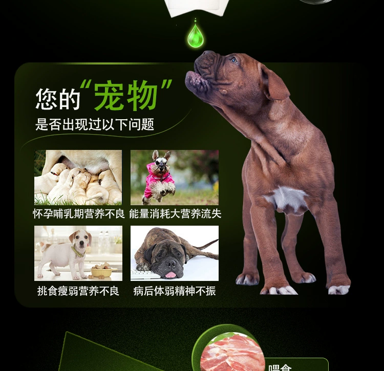 New yêu thích Kang cat dog pet dinh dưỡng kem nhanh canxi bổ sung pet sản phẩm sức khỏe dinh dưỡng 125 gam